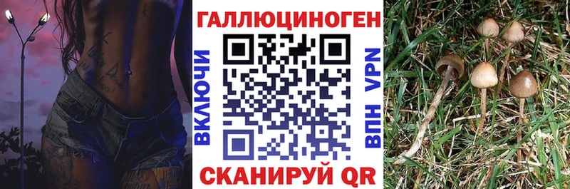 где продают наркотики  Биробиджан  Галлюциногенные грибы MAGIC MUSHROOMS 
